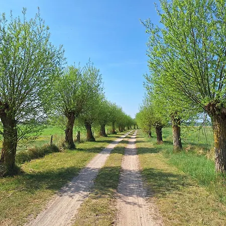 Graf Kleine Auszeit Pansiyon *